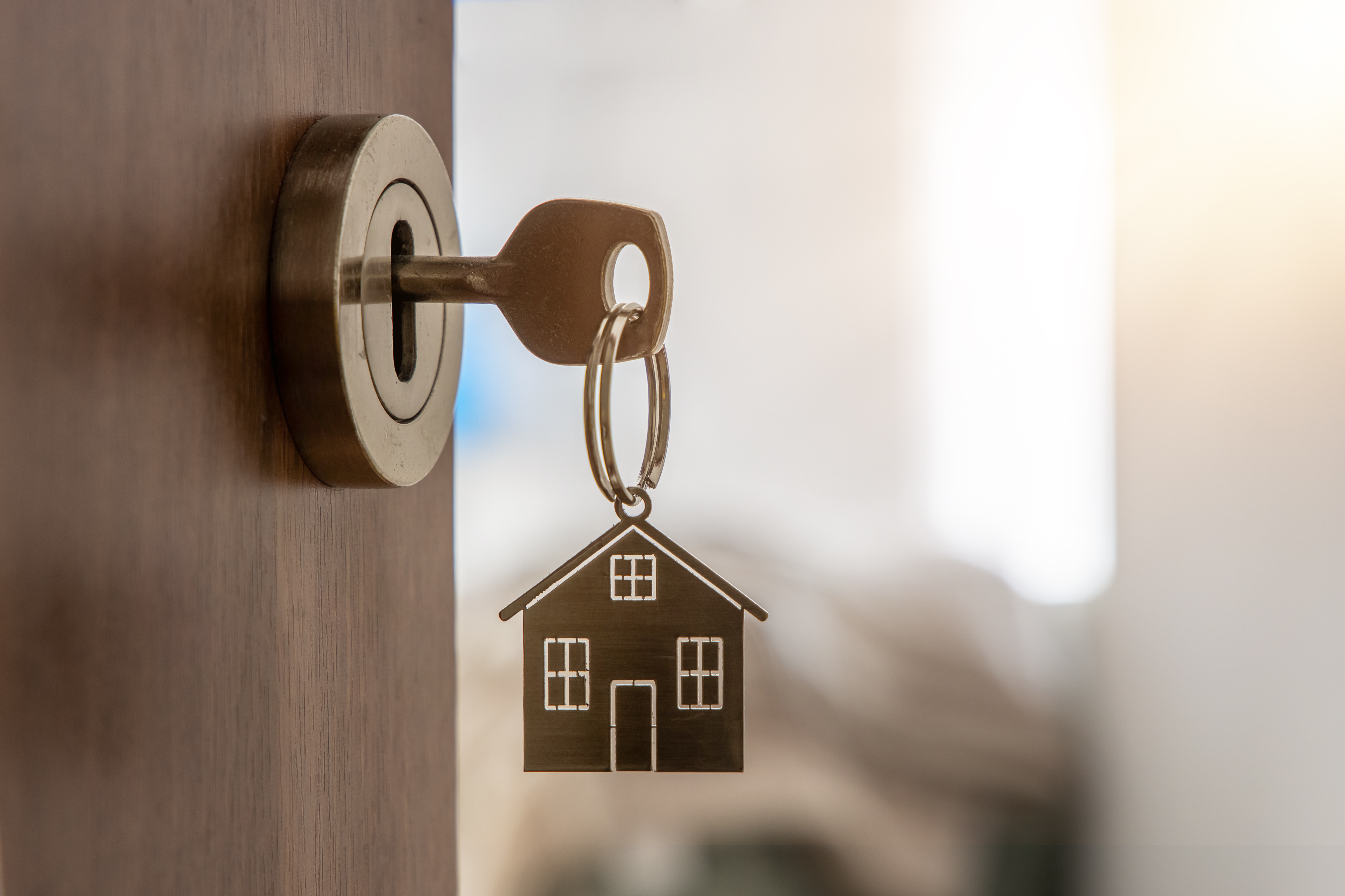 Property Buying